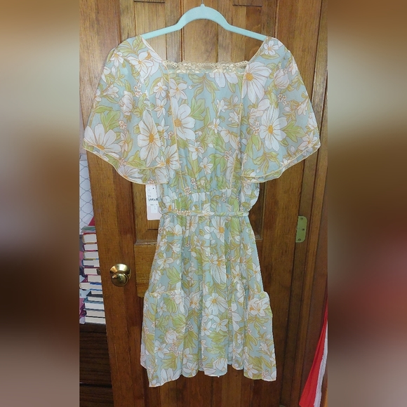 Free People x Rachel Parcell Chiffon Floral Dress - Picture 4 of 12